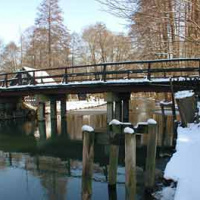 Winter im Spreewald