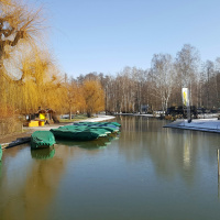 Winter im Spreewald